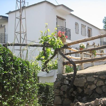 Alojamiento Rural Mirador Del Avellano Альпухарра-де-ла-Сьерра Экстерьер фото