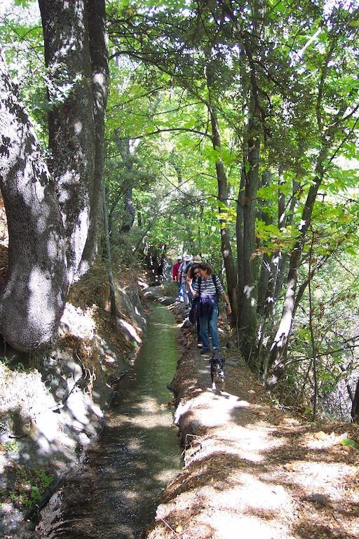 Alojamiento Rural Mirador Del Avellano Альпухарра-де-ла-Сьерра Экстерьер фото